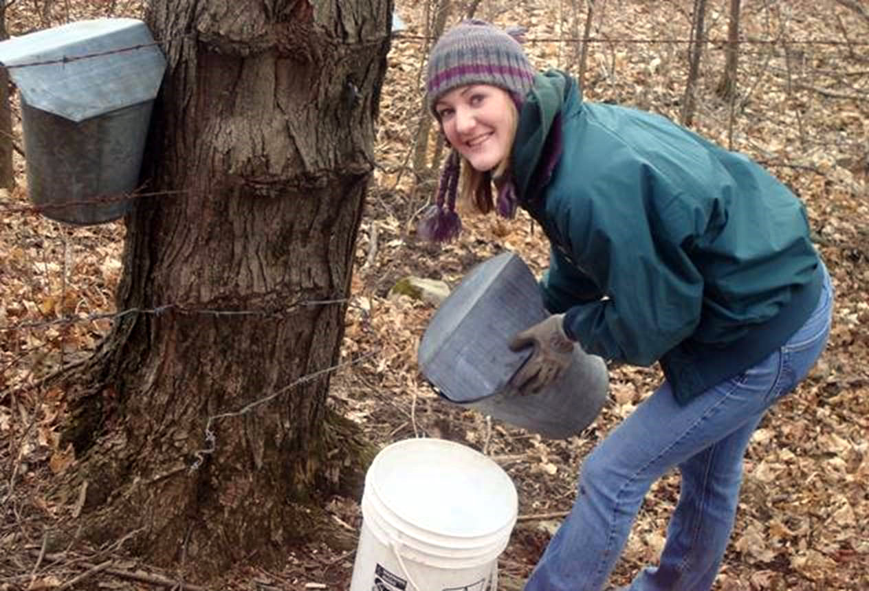 Sap Bucket Meadowbrook Maple