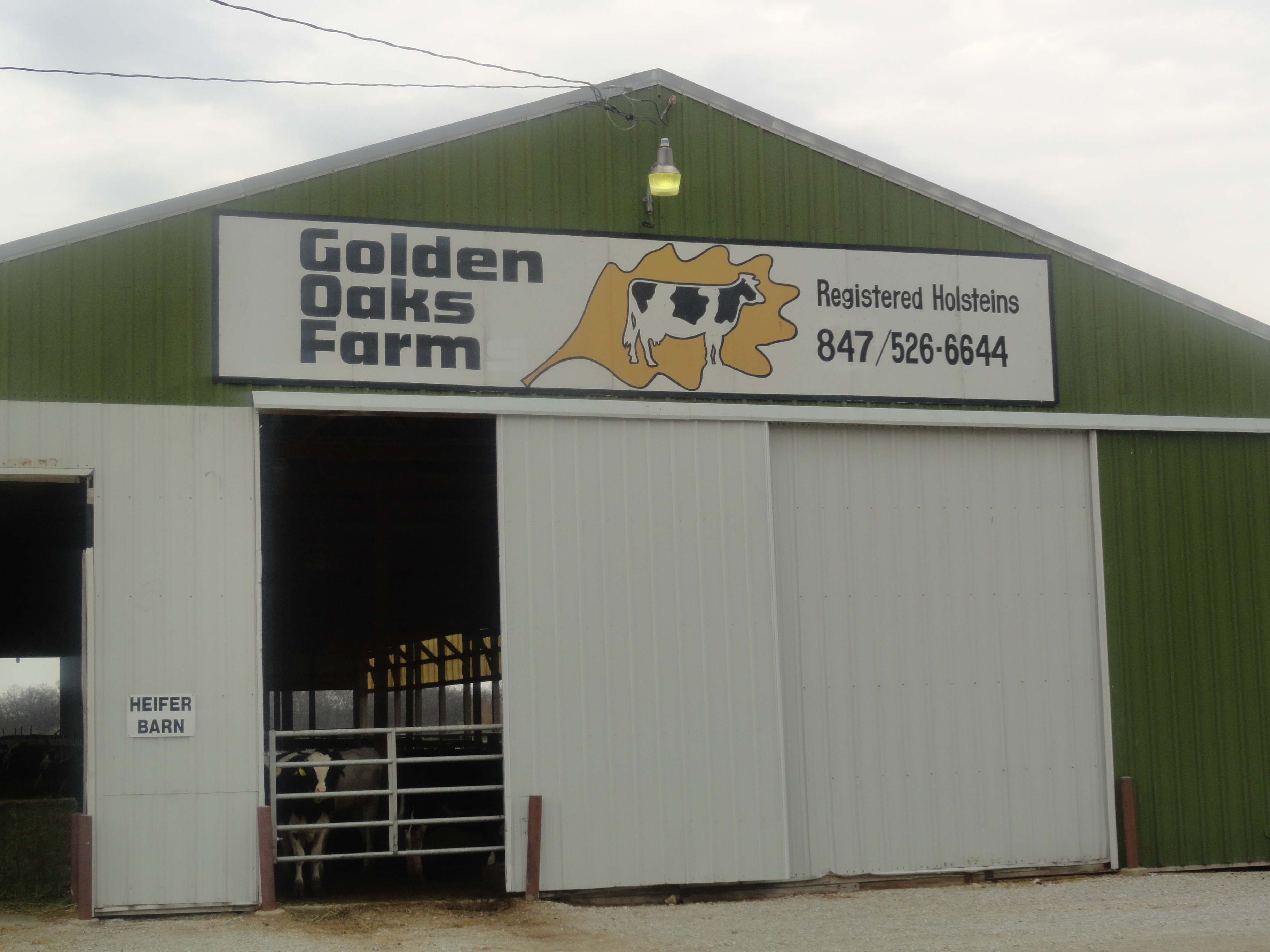 Golden Oaks Farm
