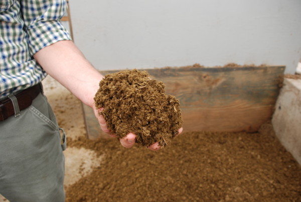 Cow Bedding from Manure Digester