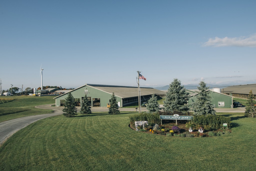 Blue Spruce Farm Vermont