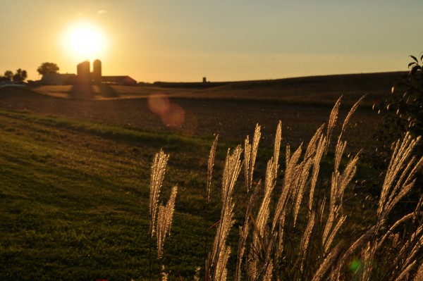 Farm Scene at Sunset 2