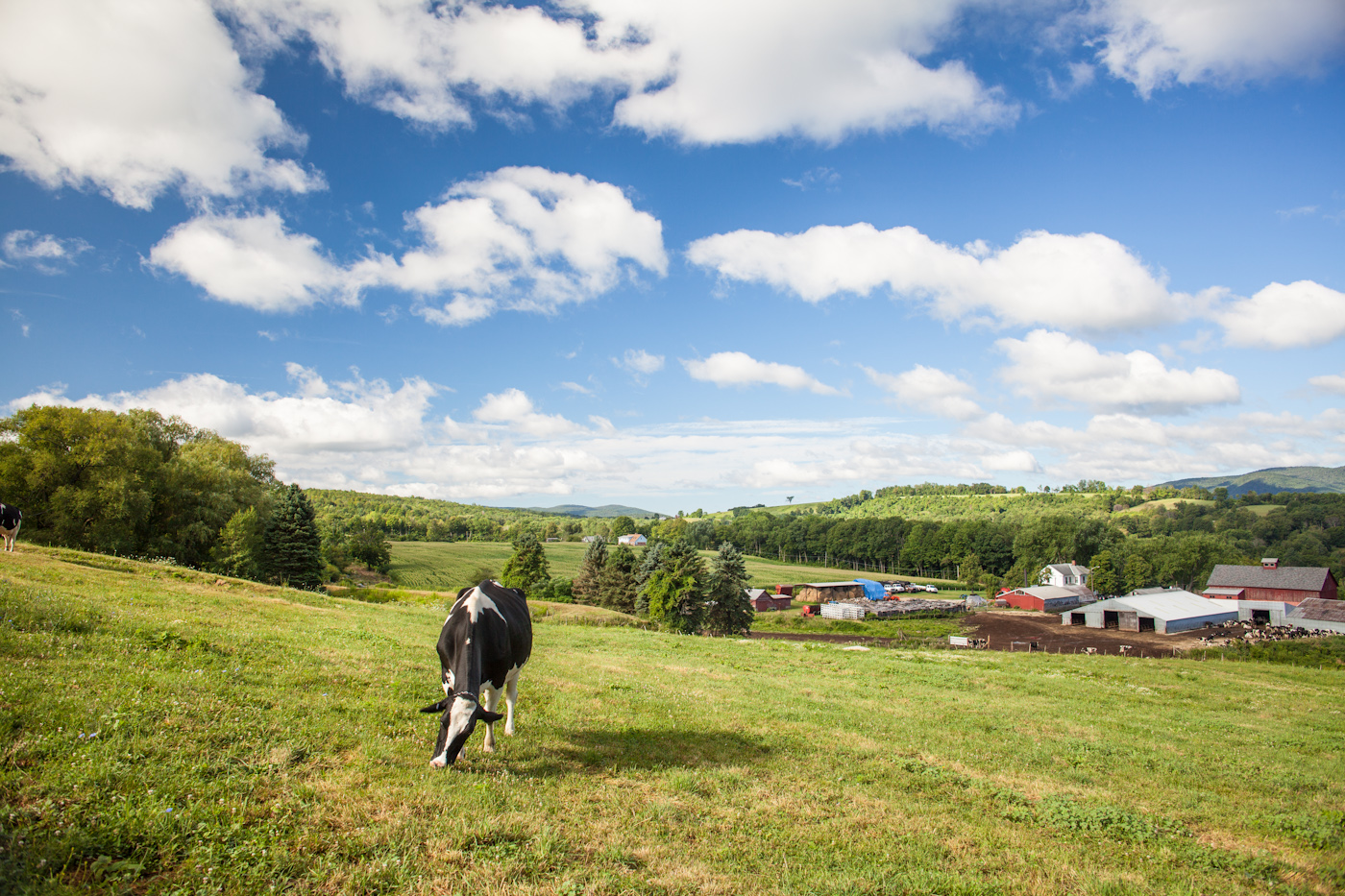 Broadlawn Farms, Massachusetts