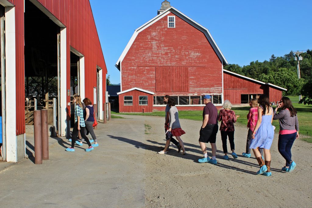 farm to table dinner