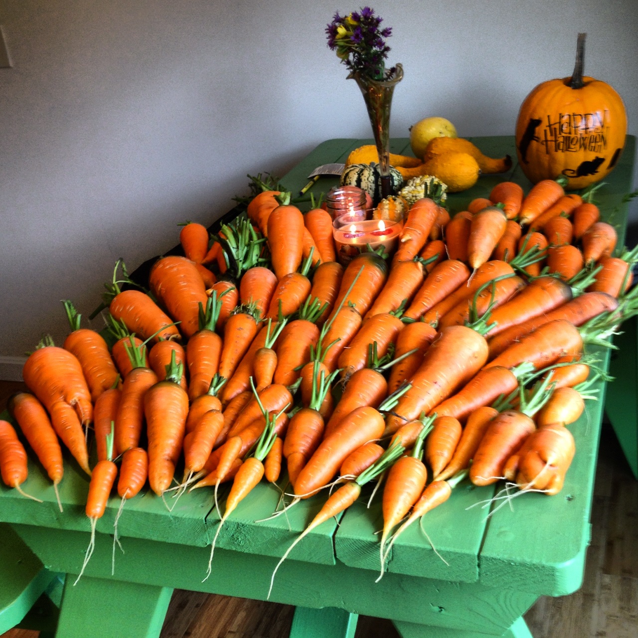 Carrots grown in Waterbury Vermont