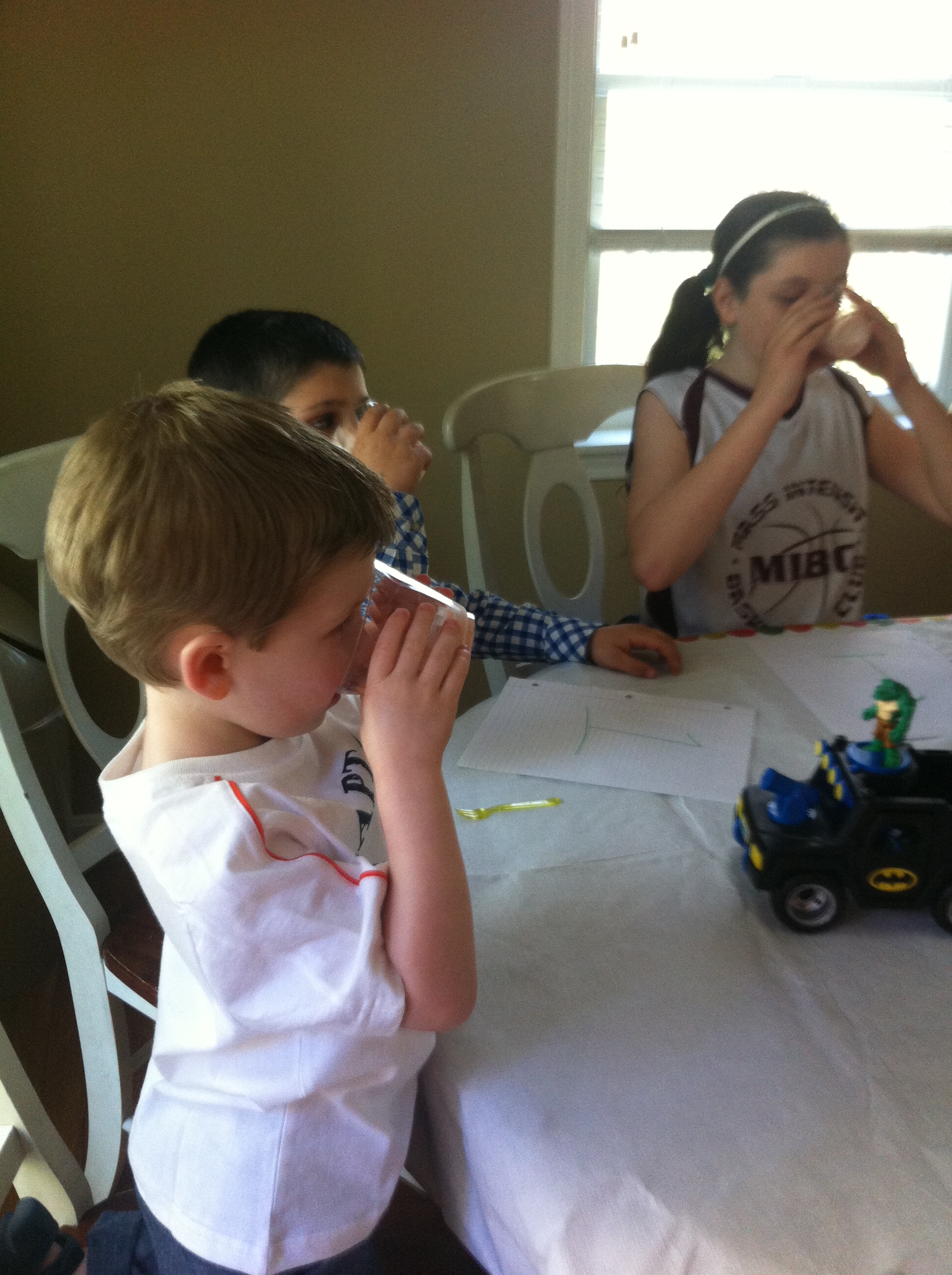 Nice shot of kids drinking smoothies