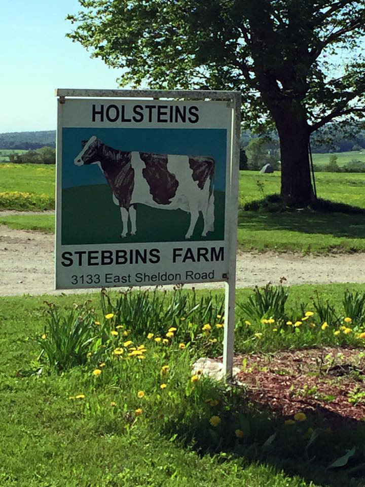 Stebbins Dairy Farm
