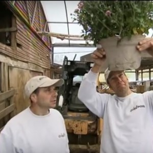 Mike Rowe Dirty Jobs Cow Pots