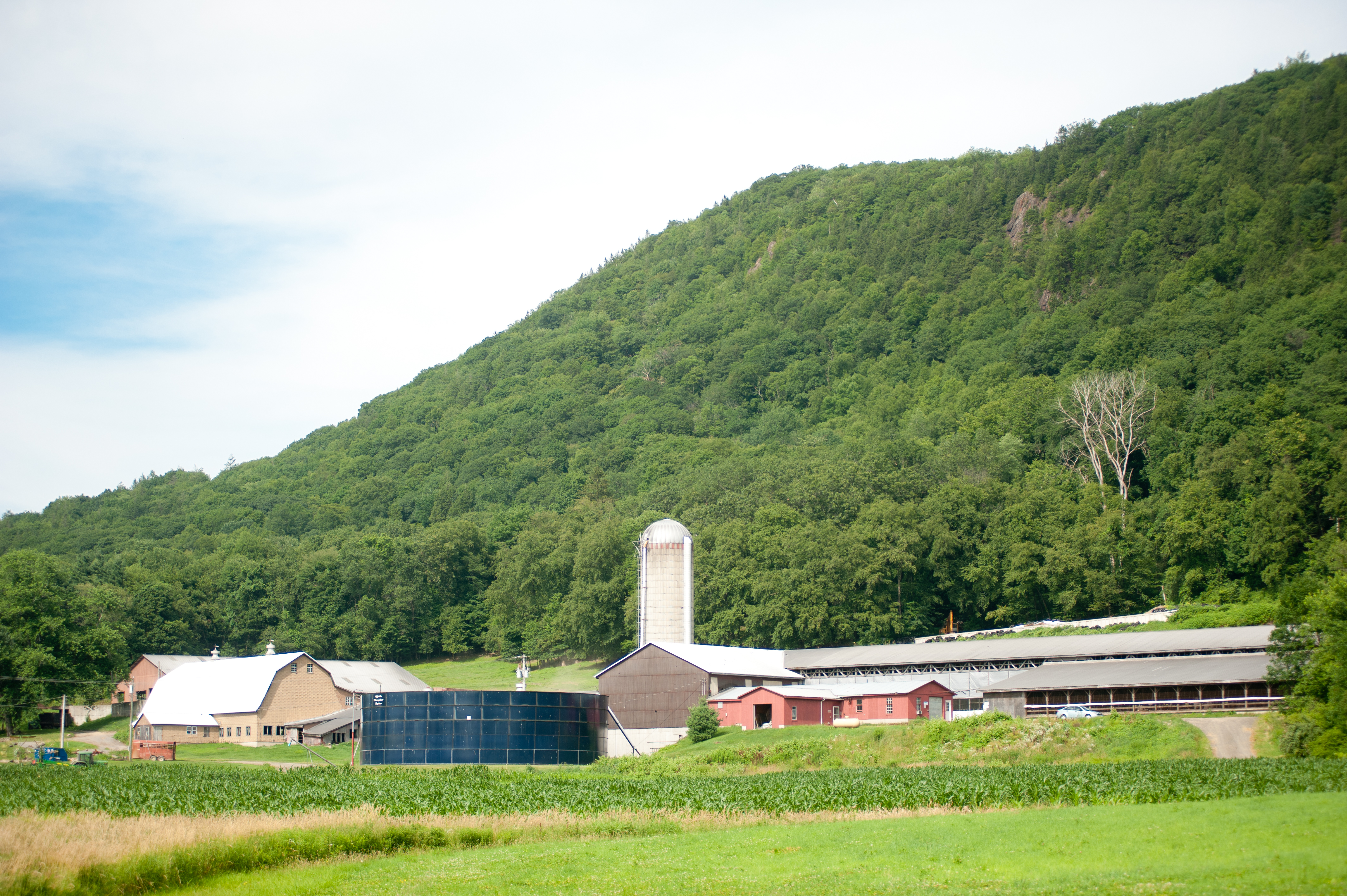 farm dairy landscape