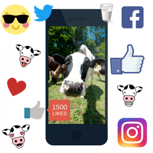 Dairy Farmers to Follow on Social Media