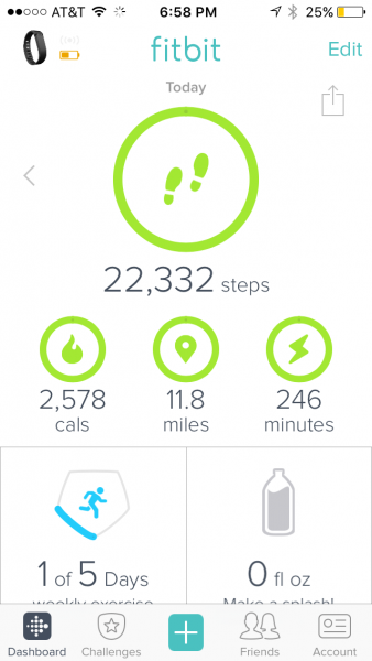 fitbit log steps