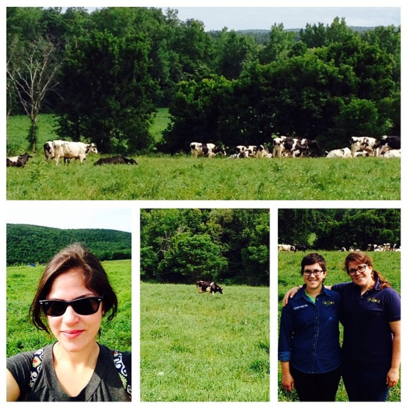 Photos from our video shoot at the Freund Family Farm