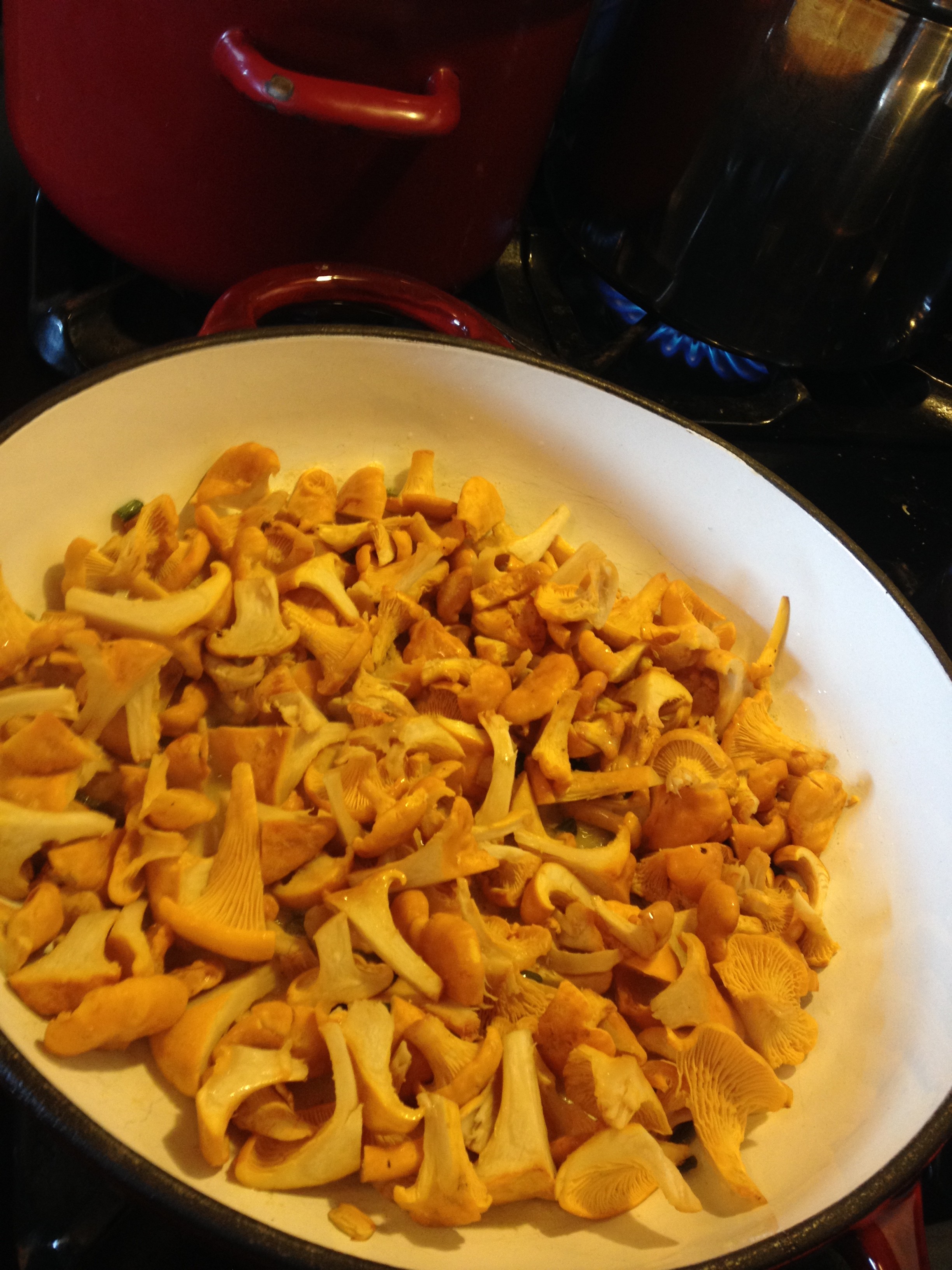 mushrooms in pan