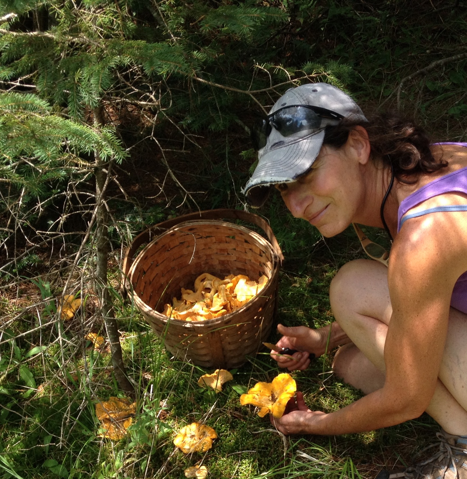 johanna mushroom hunting