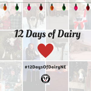 Celebrate 12 Days of Dairy with us!