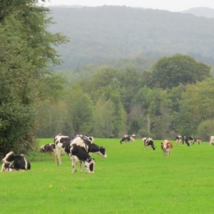 Facing the Drought in New England