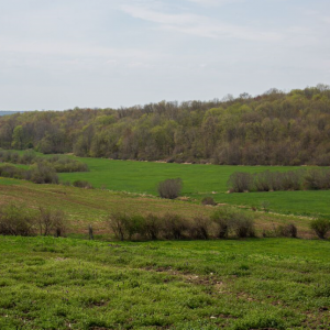 A Day on the Dairy Farm for Casimir Pulaski Students