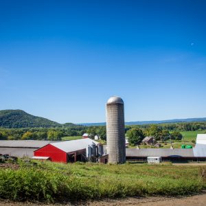 Dairy Farms: Part of the Climate Solution