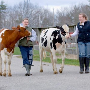 Keep Local Farms Fund Awards More Than $100,000 to Dairy-Related Education